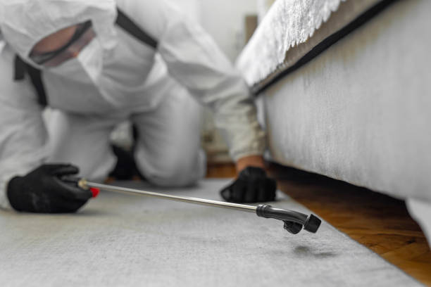 Professional Pest Control technician working in Wayne County County, NE